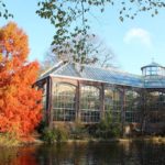jardin-botanico-Amsterdam