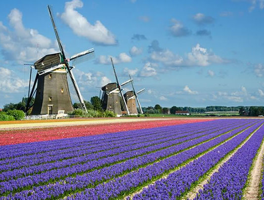 Ver en Amsterdam en 3 dias