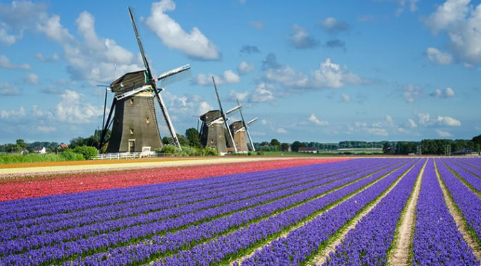 Ver en Amsterdam en 3 dias