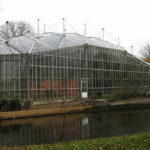 amsterdam-ninos-jardinbotanico