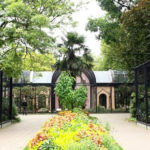 amsterdam-ninos-zoo
