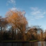 parques-amsterdam-Beatrixpark