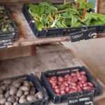 hacer-original-amsterdam-FruittuieWest-4