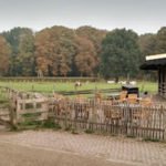 hacer-original-amsterdam-Goatfarm-3