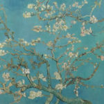 amsterdam-Almendro-en-flor