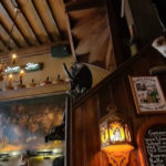 cervecerias-antigua-3