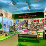 TheMagicMushroomGallery-1