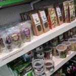 TheMagicMushroomGallery-2