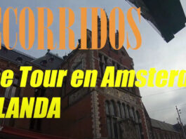 Free Tour por Amsterdam en Español