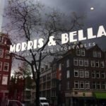 MorrisBella-Ams